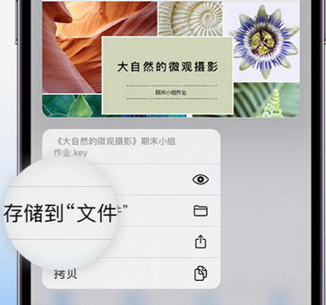 合江apple维修中心分享iPhone文件应用中存储和找到下载文件