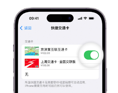 合江apple维修点分享iPhone上更换Apple Pay快捷交通卡手绘卡面 