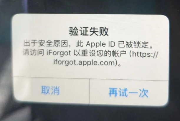 合江iPhone维修分享iPhone上正常登录或使用AppleID怎么办 