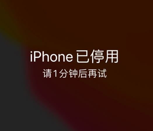 合江苹果手机维修分享:iPhone 显示“不可用”或“已停用”怎么办？还能保留数据吗？ 