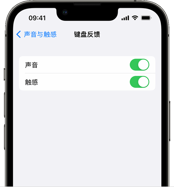 合江苹果14维修店分享如何在 iPhone 14 机型中使用触感键盘 