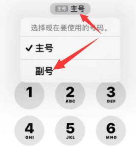 合江苹果14维修店分享iPhone 14 Pro Max使用副卡打电话的方法 