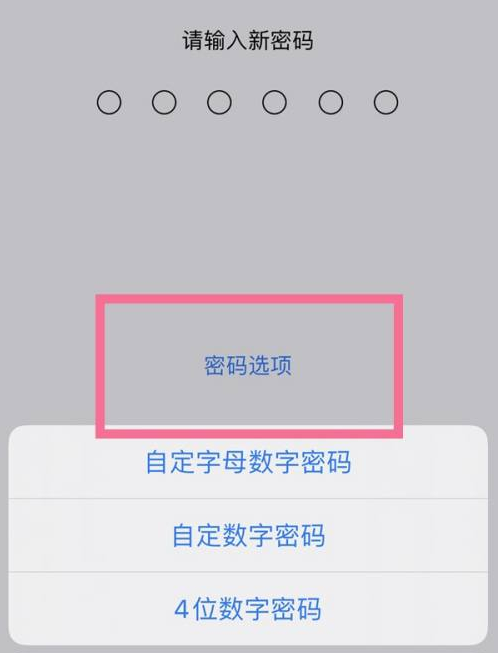 合江苹果14维修分享iPhone 14plus设置密码的方法 