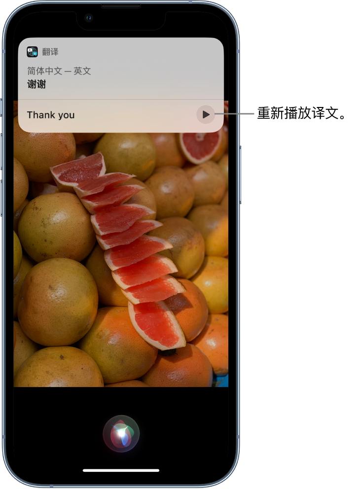 合江苹果14维修分享 iPhone 14 机型中使用 Siri：了解 Siri 能帮你做什么 