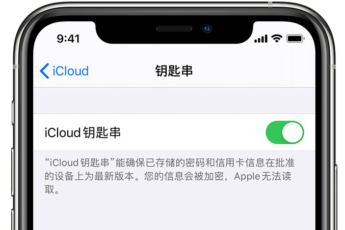 合江苹果手机维修分享在 iPhone 上开启 iCloud 钥匙串之后会储存哪些信息 