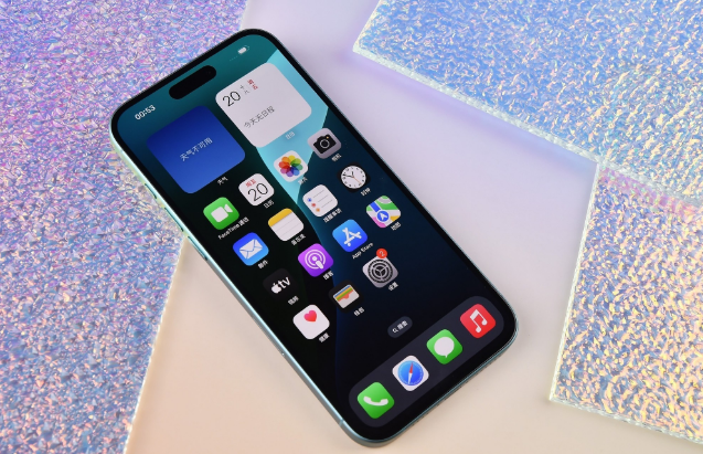 合江苹果手机维修分享为什么大家不喜欢苹果iPhone 16 Plus 